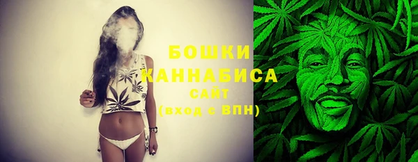 PSILOCYBIN Покачи