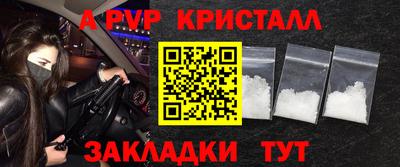 крисы Донской