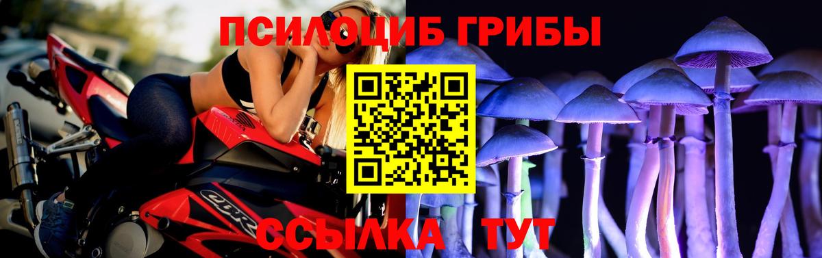 Галлюциногенные грибы Magic Shrooms Мичуринск