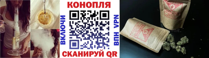 Шишки марихуана марихуана Мичуринск
